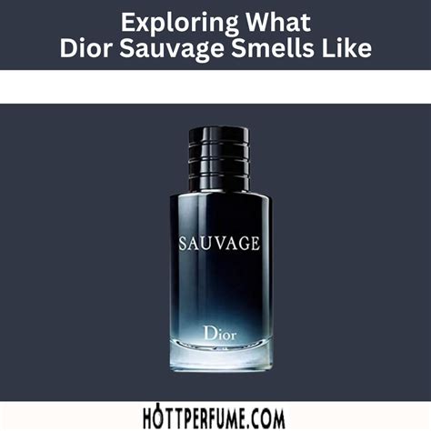 what does dior savage smell like|dior sauvage concentrations.